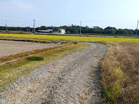 県単農道整備工事砂ケ原5地区