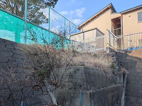 真岡市　真岡高校　防草コンクリート工事