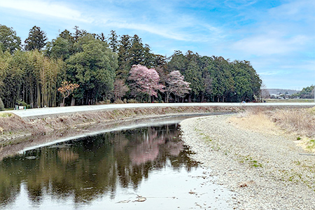 一級河川　五行川　真岡市大内地内