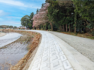 一級河川　五行川　真岡市大内地内