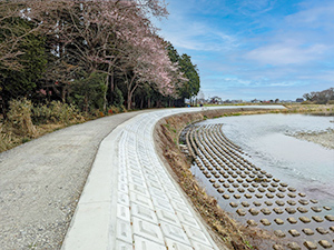 一級河川　五行川　真岡市大内地内