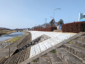 一級河川　五行川　真岡市荒町及び田町地内