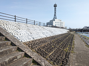 一級河川　五行川　真岡市荒町及び田町地内